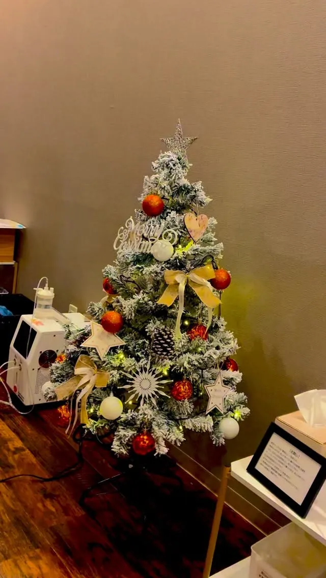 クリスマスツリーを飾りました♪